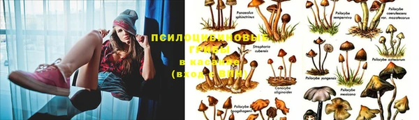мяу мяу кристалл Алексин