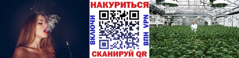 МАРИХУАНА сатива  наркотики  Дрезна 